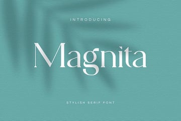 Magnita - Serif Small Letter Font
